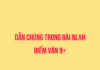 Cách đưa dẫn chứng trong bài NLXH