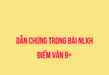 Cách đưa dẫn chứng trong bài NLXH