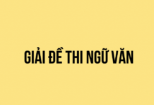 Giải đề thi thử số 7 – Ngữ văn 12