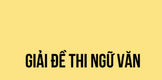 Giải đề thi thử số 7 – Ngữ văn 12