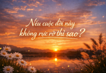 Nghị luận về: Nếu cuộc đời này không rực rỡ thì sao?