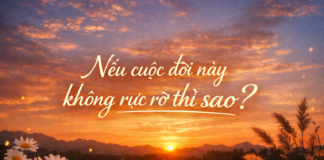 Nghị luận về: Nếu cuộc đời này không rực rỡ thì sao?