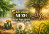 5 dẫn chứng NLXH đáng suy ngẫm