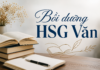 Lý luận văn học – dẫn chứng cho bài lý luận lấy từ đâu là hợp lý