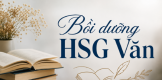 Lý luận văn học – dẫn chứng cho bài lý luận lấy từ đâu là hợp lý